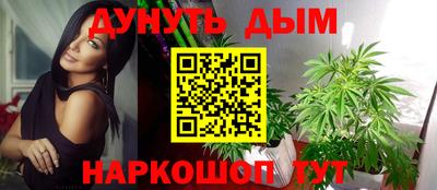 шишки Краснодар